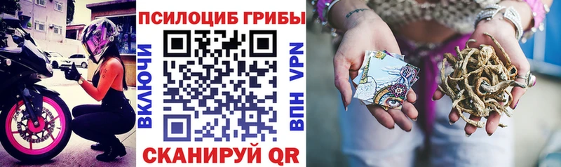 Псилоцибиновые грибы Magic Shrooms  Красный Кут 